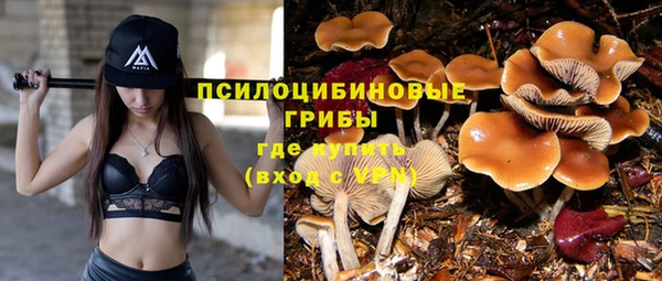 героин Алзамай