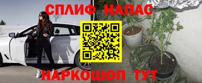 кокс Бердск