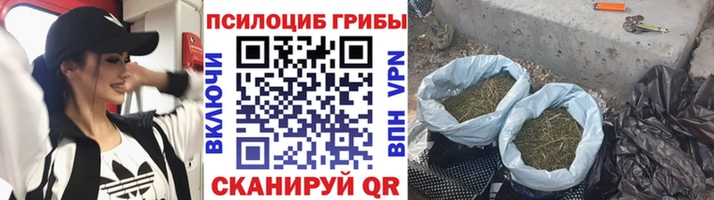 Галлюциногенные грибы MAGIC MUSHROOMS  Темрюк 